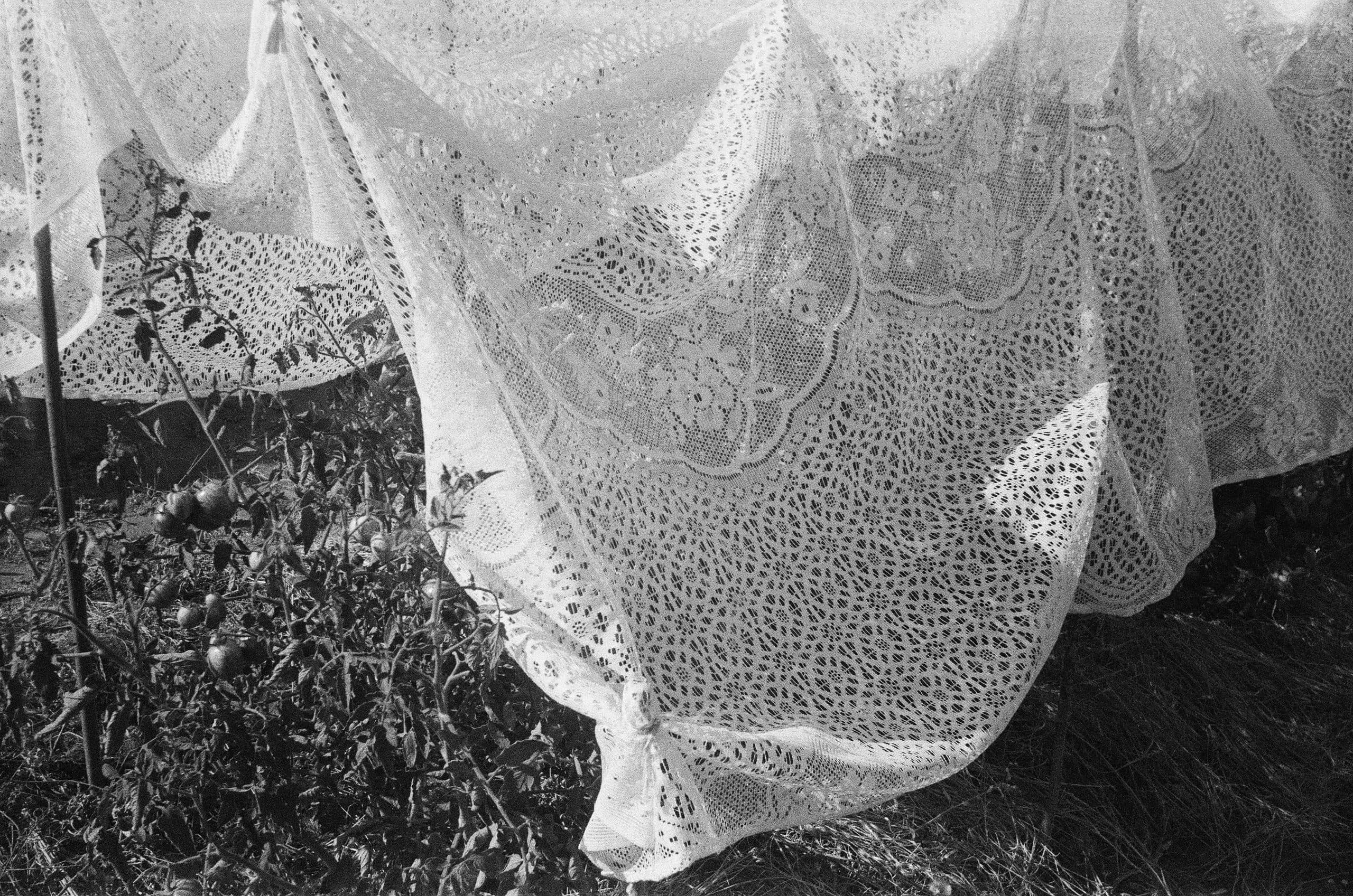 Cover Image for Nobel Peace Prize Laureate Oleksandra Matviichuk: In Conversation