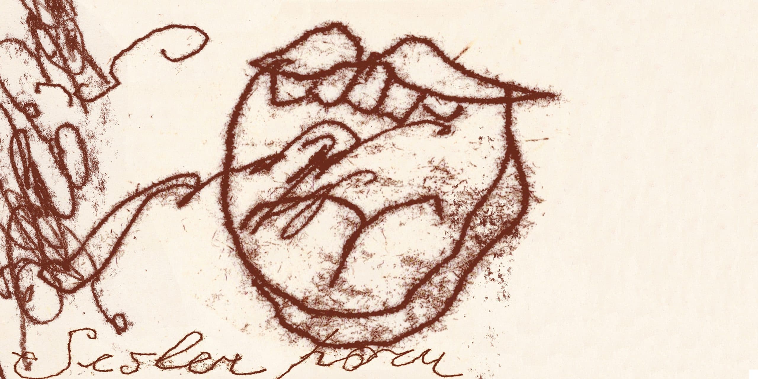 Cover Image for Lessons from the Empire: The Concert Hall as Security